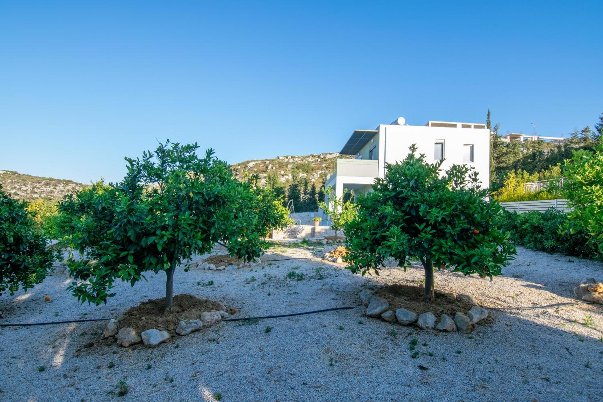 Κatakis Villas Agios Onoufrios Bagian luar foto