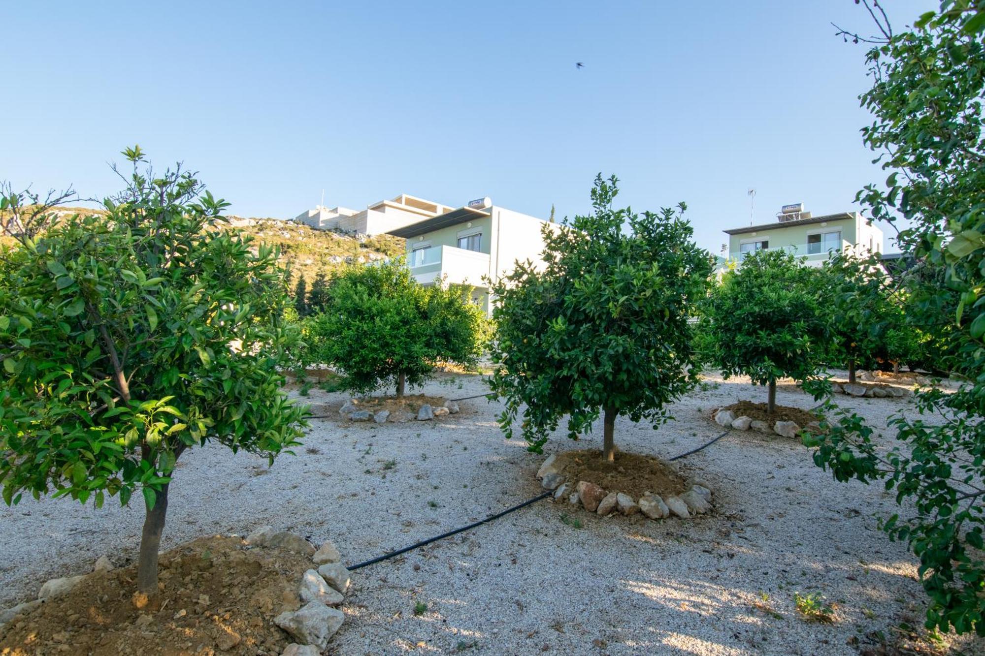 Κatakis Villas Agios Onoufrios Bagian luar foto