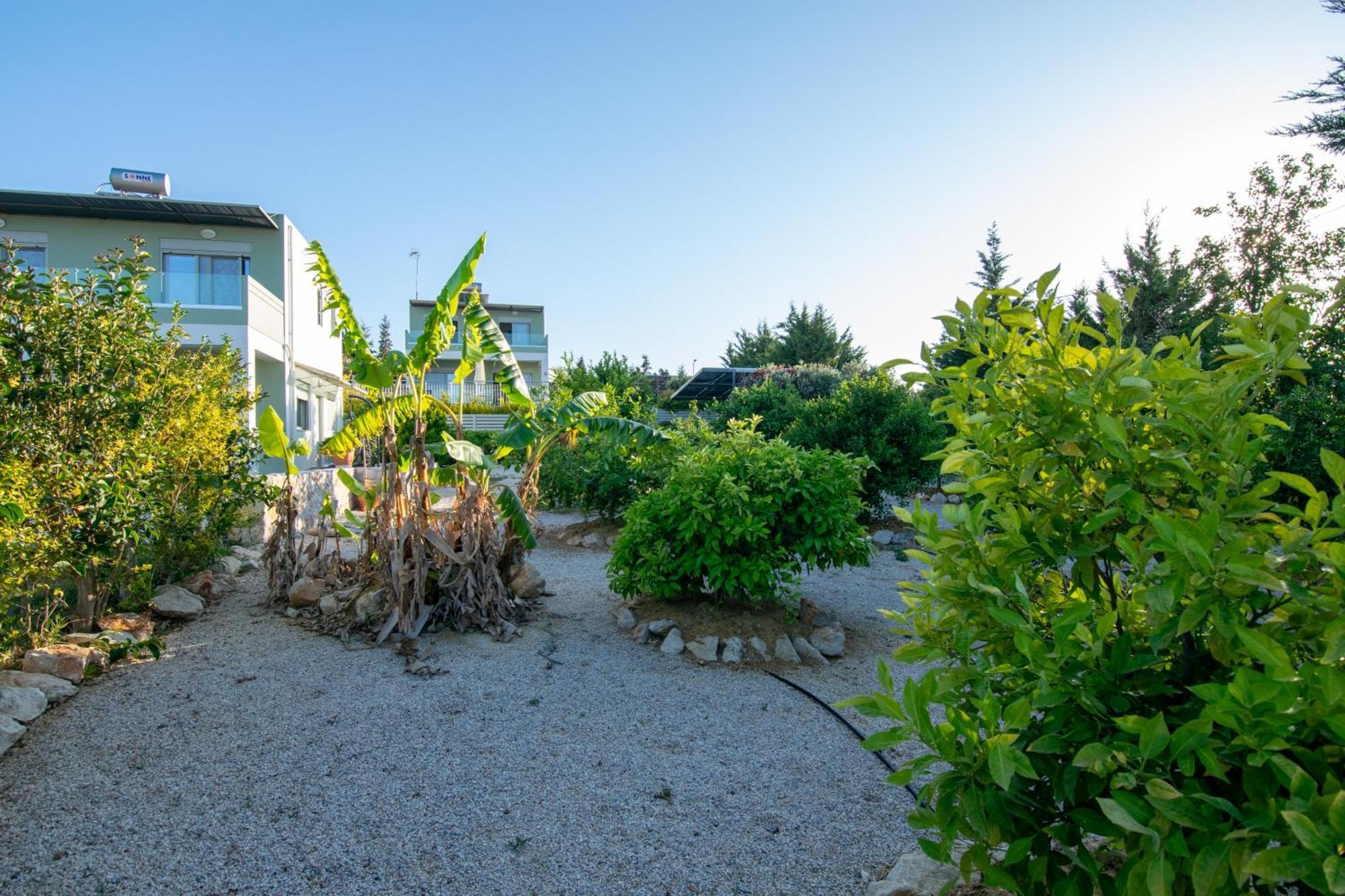 Κatakis Villas Agios Onoufrios Bagian luar foto
