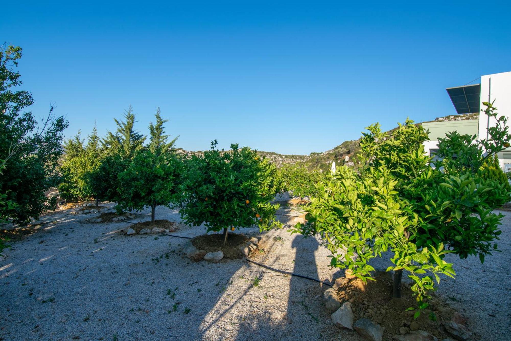 Κatakis Villas Agios Onoufrios Bagian luar foto