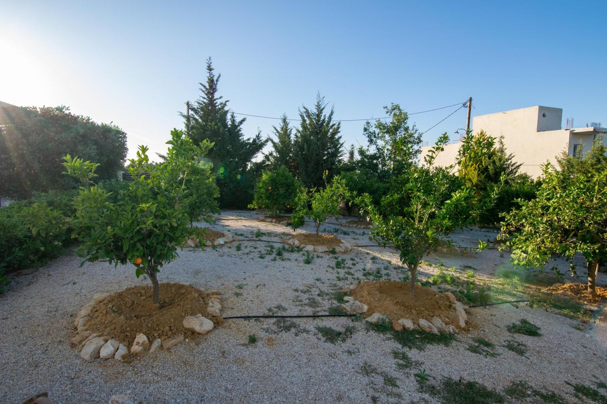 Κatakis Villas Agios Onoufrios Bagian luar foto