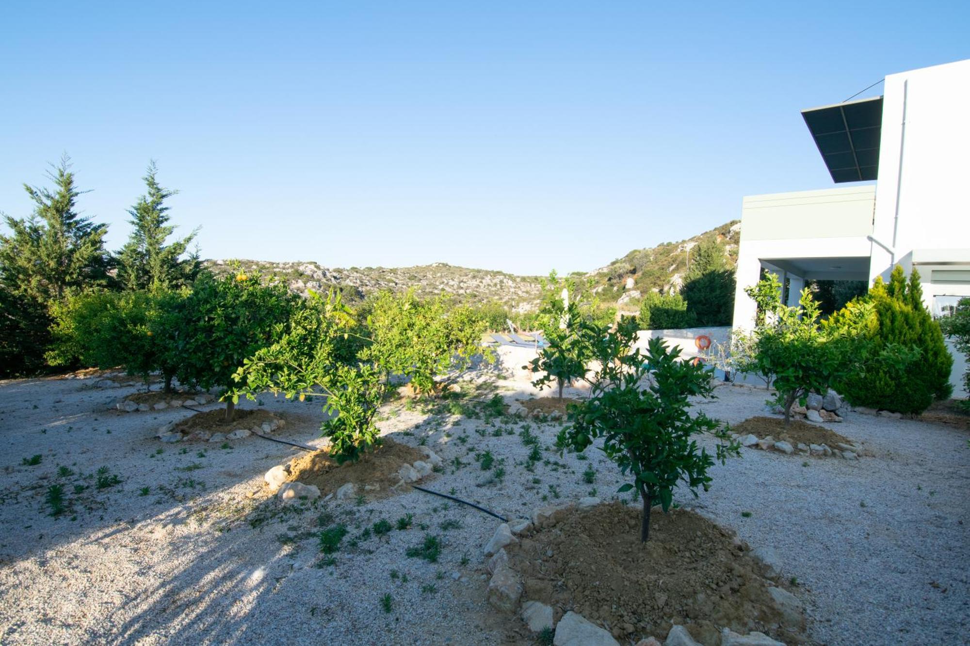 Κatakis Villas Agios Onoufrios Bagian luar foto