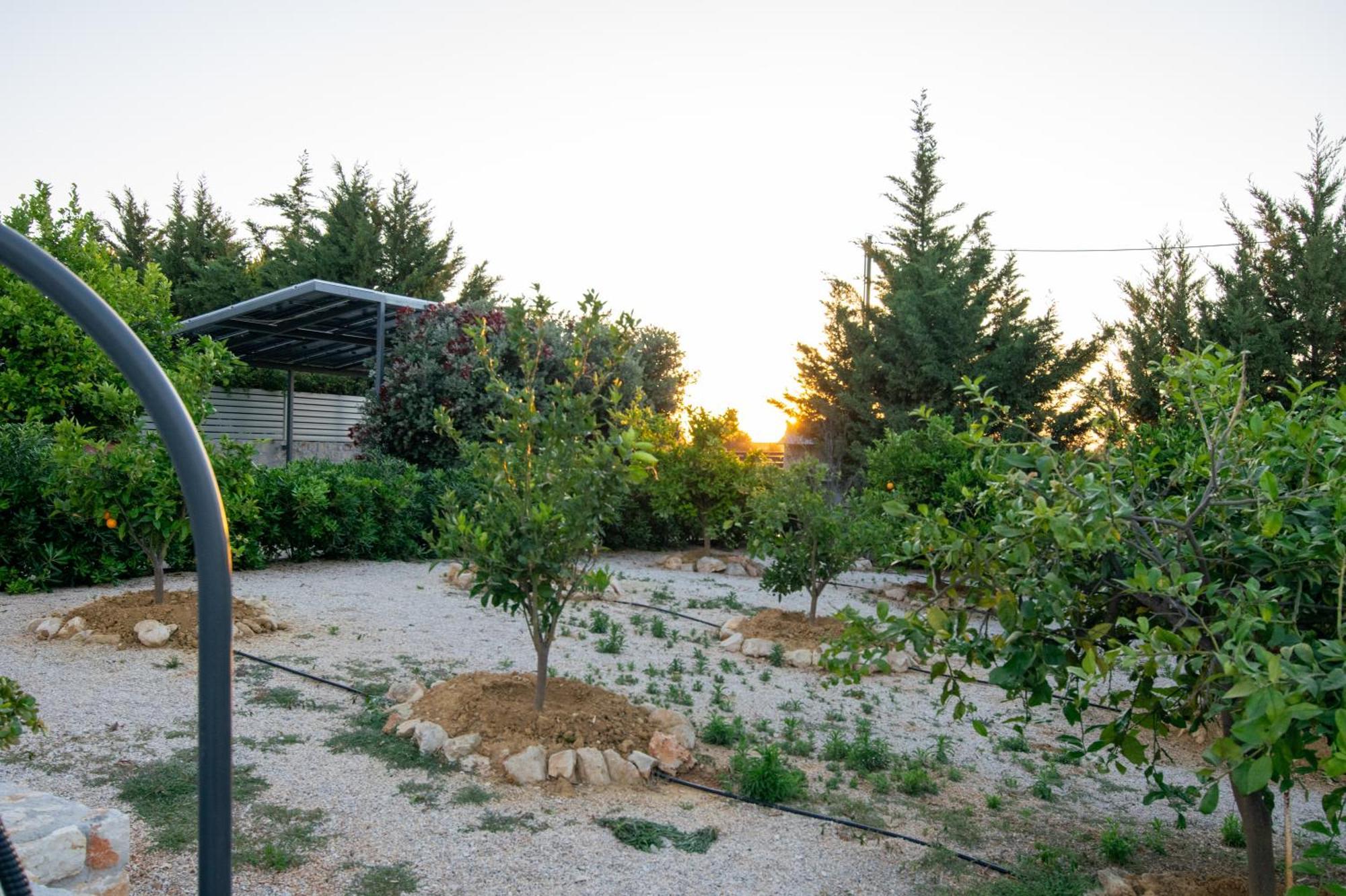 Κatakis Villas Agios Onoufrios Bagian luar foto