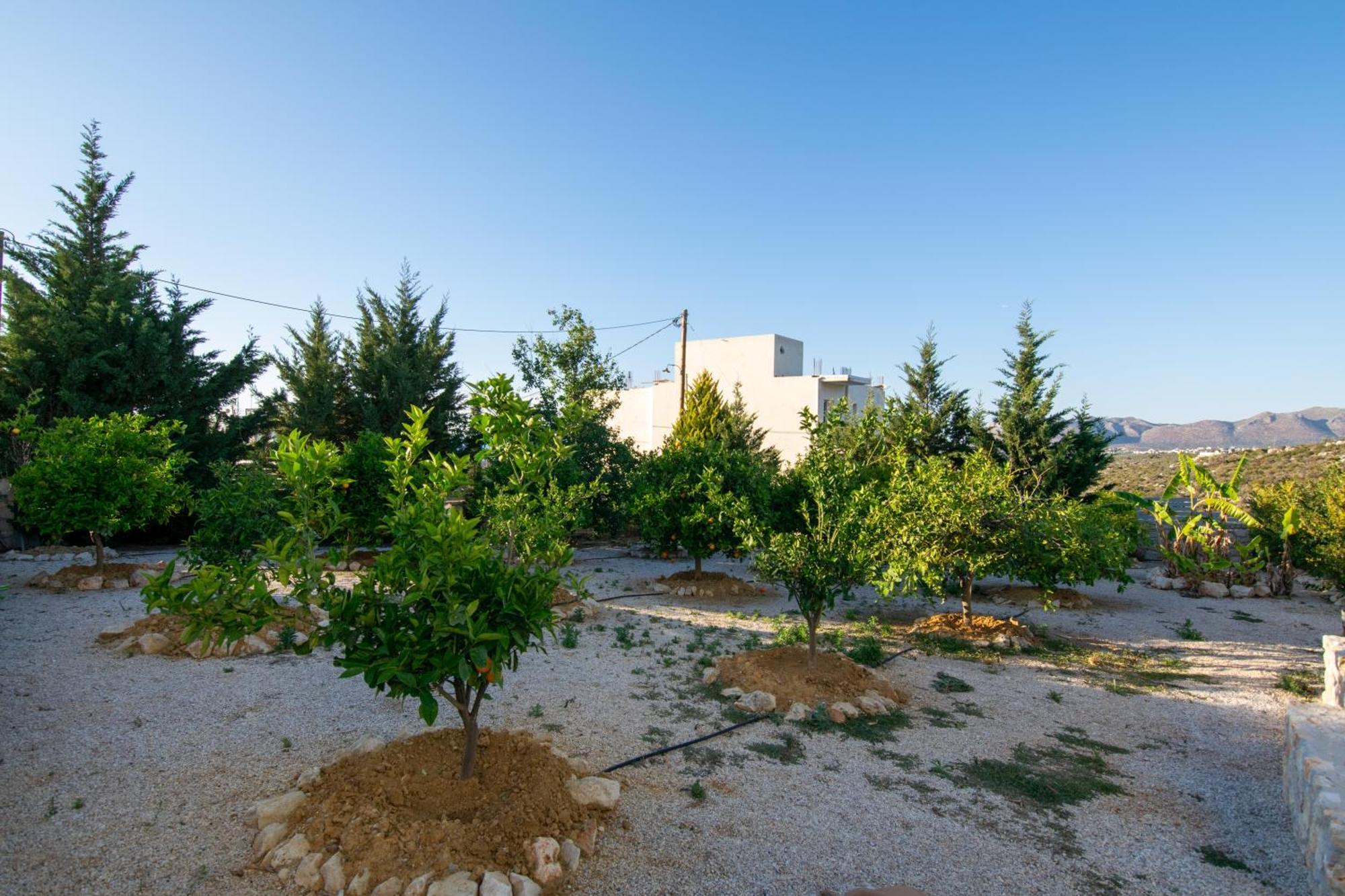 Κatakis Villas Agios Onoufrios Bagian luar foto